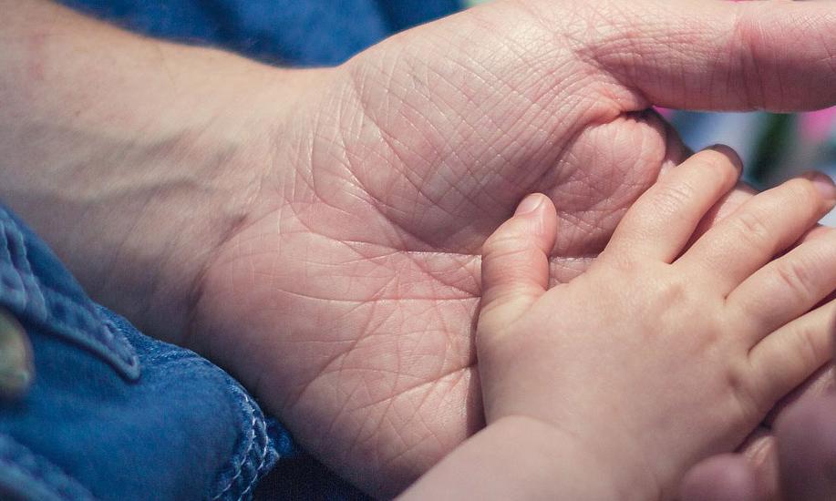 Familienbund Köln
